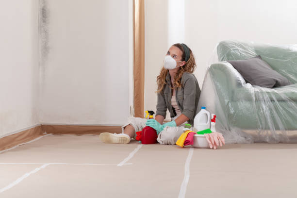 Reliable Mold Cleanup contractor in Winchester, VA by Cheap Mold Removal
